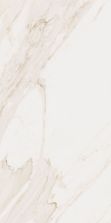 Omnia Calacatta Matte 24 x 48